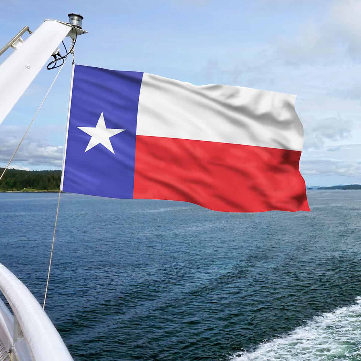 Montgomery Texas Lone Star Flag